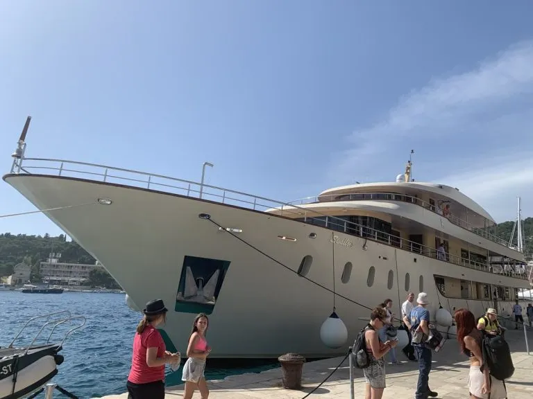 Large cruise ship docked